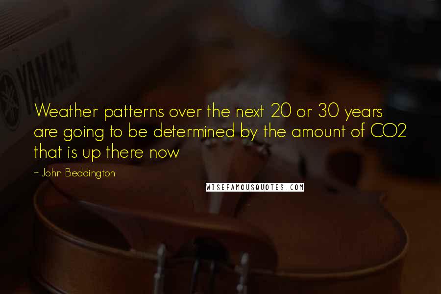 John Beddington quotes: Weather patterns over the next 20 or 30 years are going to be determined by the amount of CO2 that is up there now