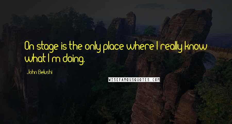 John Belushi quotes: On stage is the only place where I really know what I'm doing.