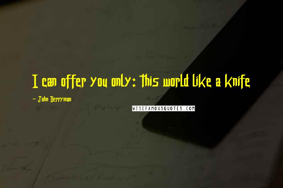 John Berryman quotes: I can offer you only: this world like a knife
