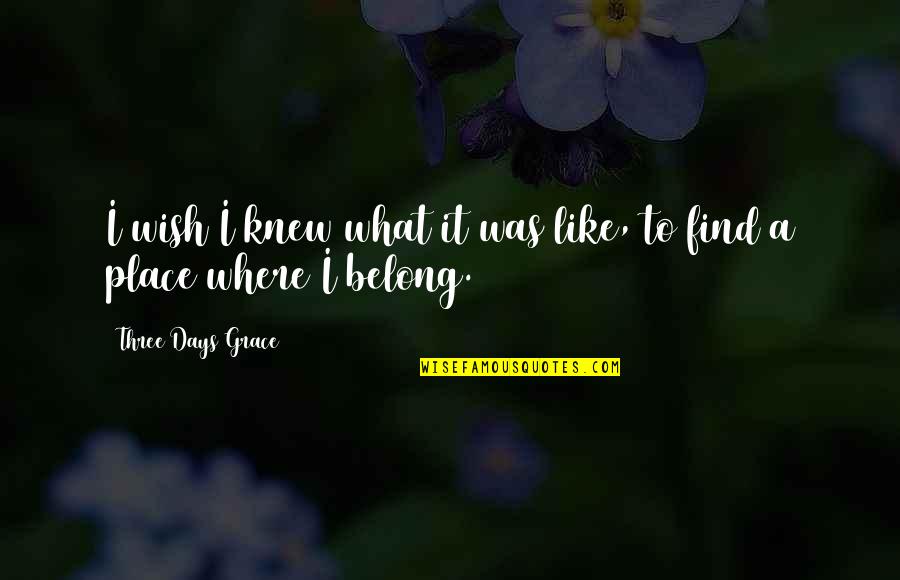 John Blacking Quotes By Three Days Grace: I wish I knew what it was like,