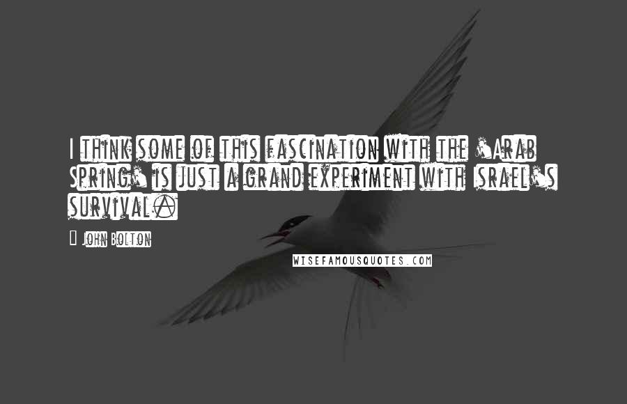 John Bolton quotes: I think some of this fascination with the 'Arab Spring' is just a grand experiment with Israel's survival.