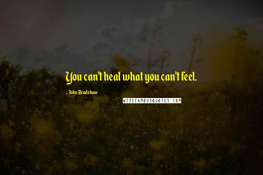 John Bradshaw quotes: You can't heal what you can't feel.