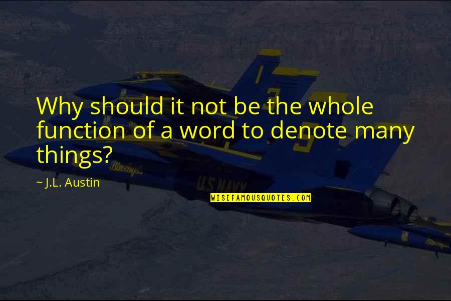 John Buford Gettysburg Quotes By J.L. Austin: Why should it not be the whole function