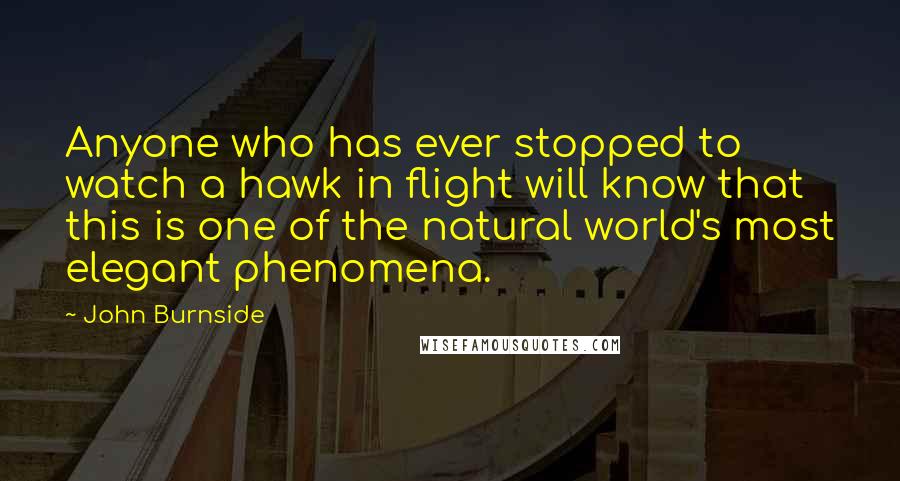 John Burnside quotes: Anyone who has ever stopped to watch a hawk in flight will know that this is one of the natural world's most elegant phenomena.