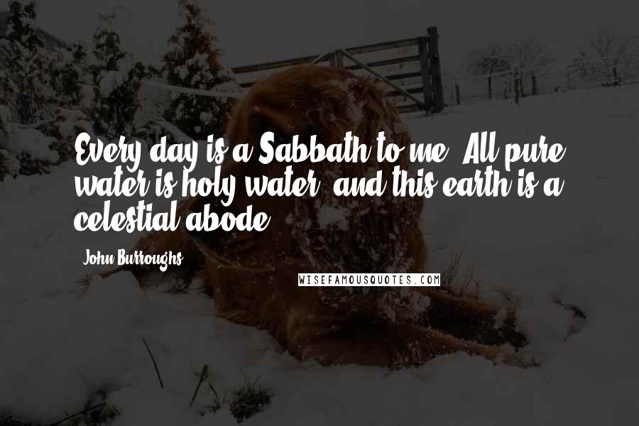 John Burroughs quotes: Every day is a Sabbath to me. All pure water is holy water, and this earth is a celestial abode.