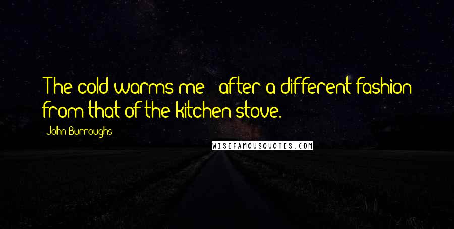 John Burroughs quotes: [T]he cold warms me - after a different fashion from that of the kitchen stove.