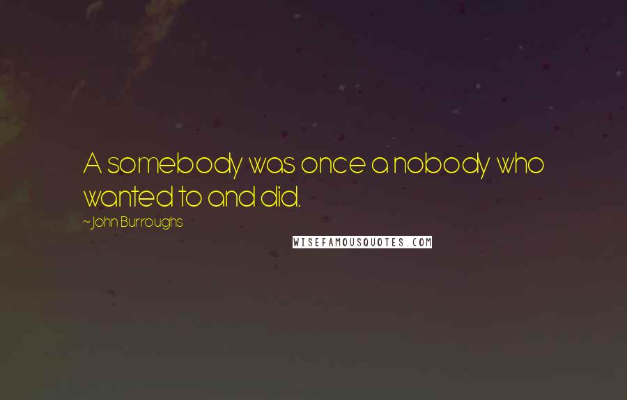 John Burroughs quotes: A somebody was once a nobody who wanted to and did.