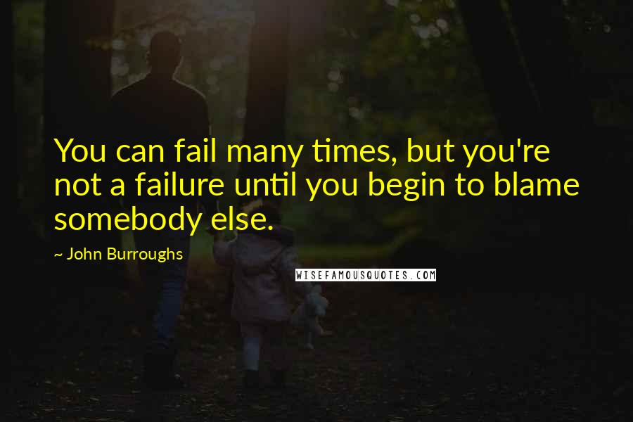 John Burroughs quotes: You can fail many times, but you're not a failure until you begin to blame somebody else.