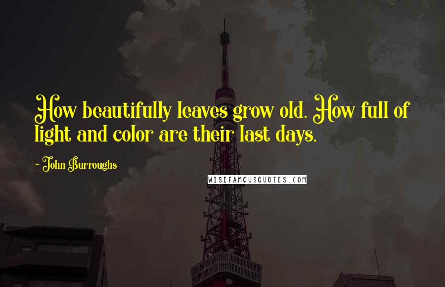 John Burroughs quotes: How beautifully leaves grow old. How full of light and color are their last days.