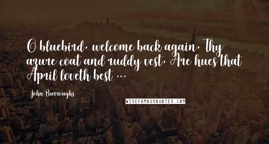 John Burroughs quotes: O bluebird, welcome back again, Thy azure coat and ruddy vest, Are hues that April loveth best ...