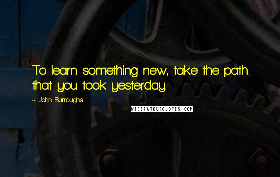 John Burroughs quotes: To learn something new, take the path that you took yesterday.