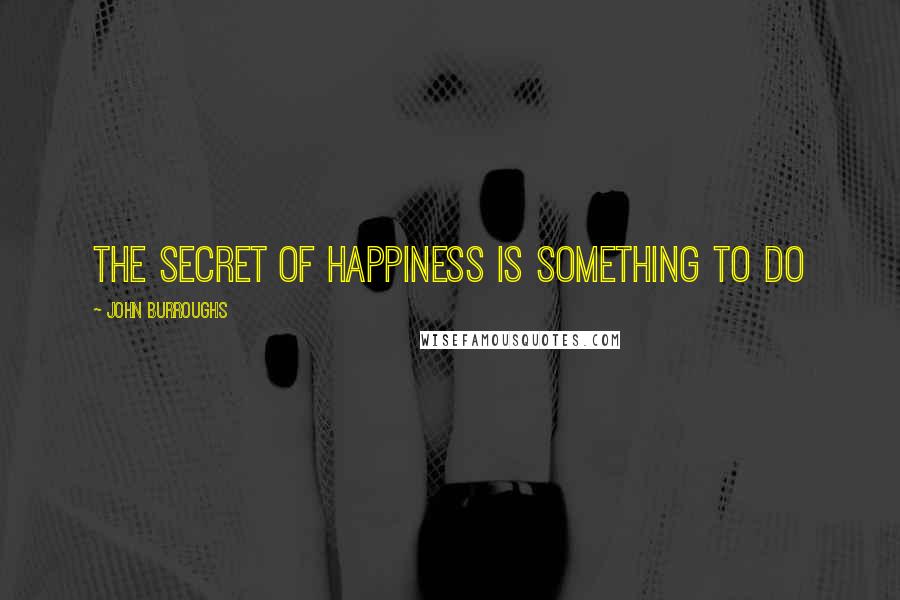John Burroughs quotes: The secret of happiness is something to do