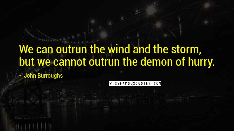 John Burroughs quotes: We can outrun the wind and the storm, but we cannot outrun the demon of hurry.