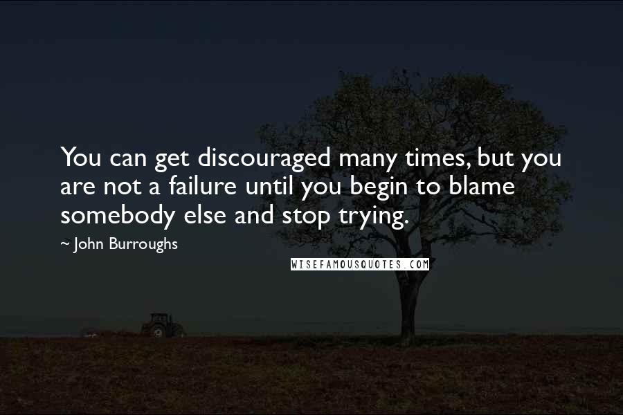 John Burroughs quotes: You can get discouraged many times, but you are not a failure until you begin to blame somebody else and stop trying.