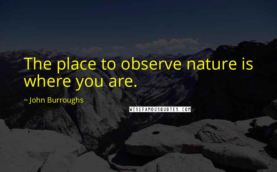 John Burroughs quotes: The place to observe nature is where you are.