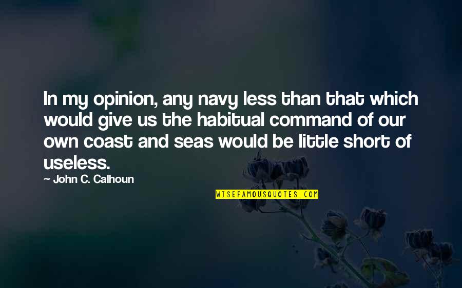 John C Calhoun Quotes By John C. Calhoun: In my opinion, any navy less than that
