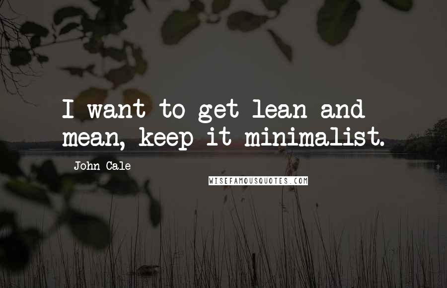 John Cale quotes: I want to get lean and mean, keep it minimalist.