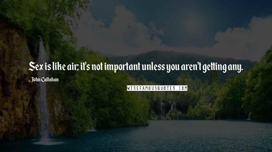 John Callahan quotes: Sex is like air; it's not important unless you aren't getting any.