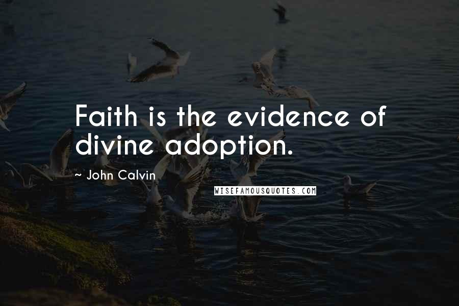 John Calvin quotes: Faith is the evidence of divine adoption.