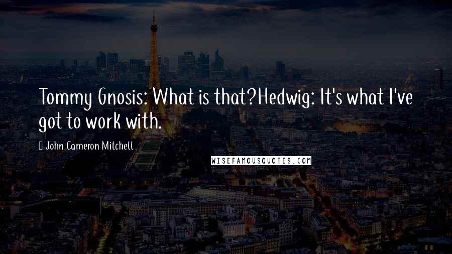 John Cameron Mitchell quotes: Tommy Gnosis: What is that?Hedwig: It's what I've got to work with.