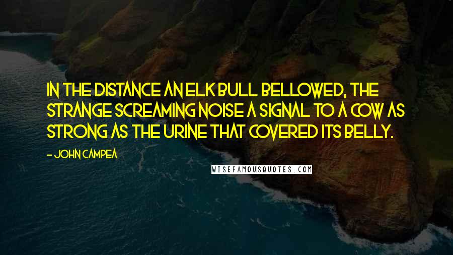 John Campea quotes: In the distance an elk bull bellowed, the strange screaming noise a signal to a cow as strong as the urine that covered its belly.