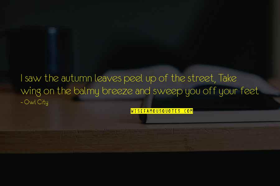 John Cardinal Newman Quotes By Owl City: I saw the autumn leaves peel up of