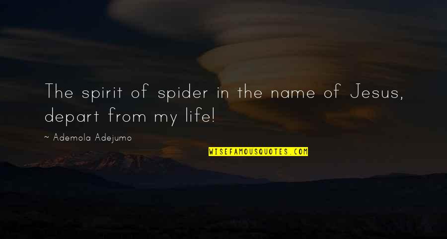 John Chaney Temple Quotes By Ademola Adejumo: The spirit of spider in the name of