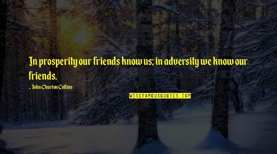 John Churton Collins Quotes By John Churton Collins: In prosperity our friends know us; in adversity