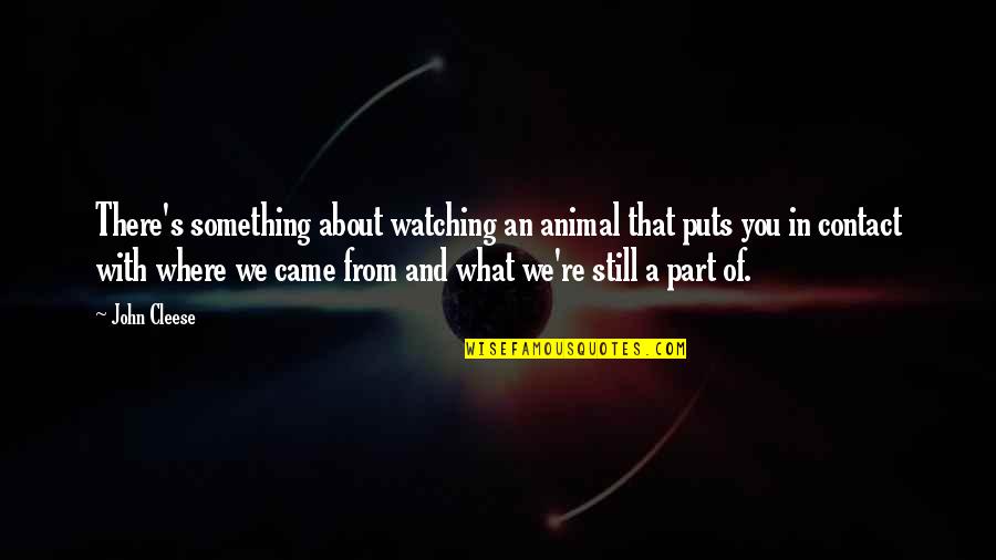 John Cleese Q Quotes By John Cleese: There's something about watching an animal that puts John Cleese Q Quotes By John Cleese: There's something about watching an animal that puts