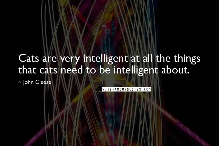 John Cleese quotes: Cats are very intelligent at all the things that cats need to be intelligent about.