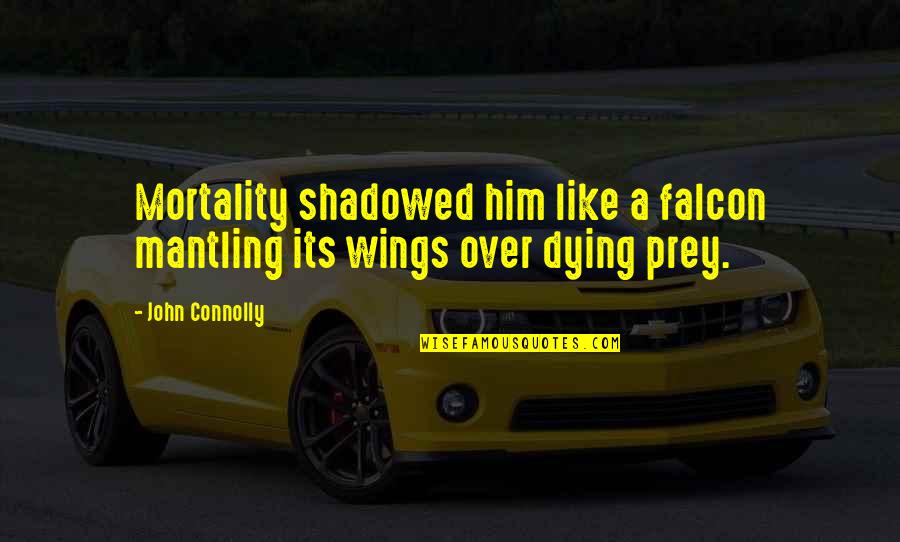 John Connolly Quotes By John Connolly: Mortality shadowed him like a falcon mantling its