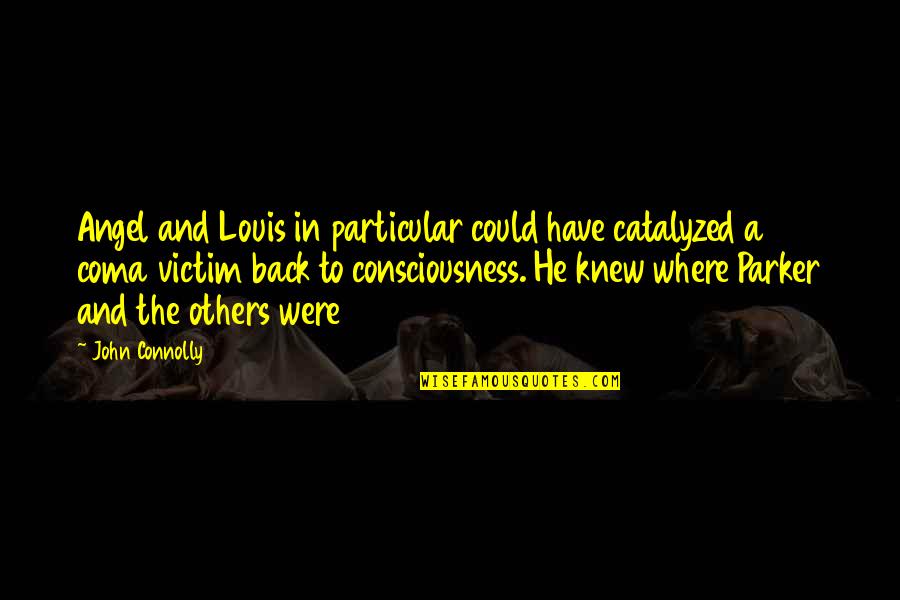John Connolly Quotes By John Connolly: Angel and Louis in particular could have catalyzed