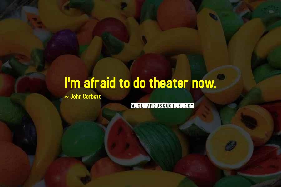John Corbett quotes: I'm afraid to do theater now.