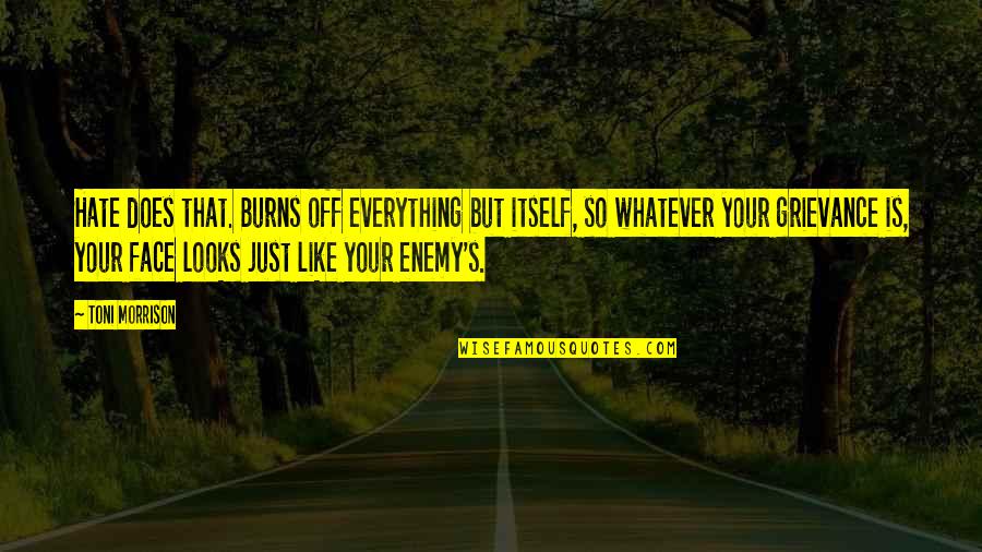 John Crittenden Quotes By Toni Morrison: Hate does that. Burns off everything but itself,