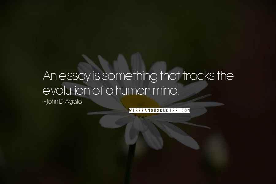 John D'Agata quotes: An essay is something that tracks the evolution of a human mind.