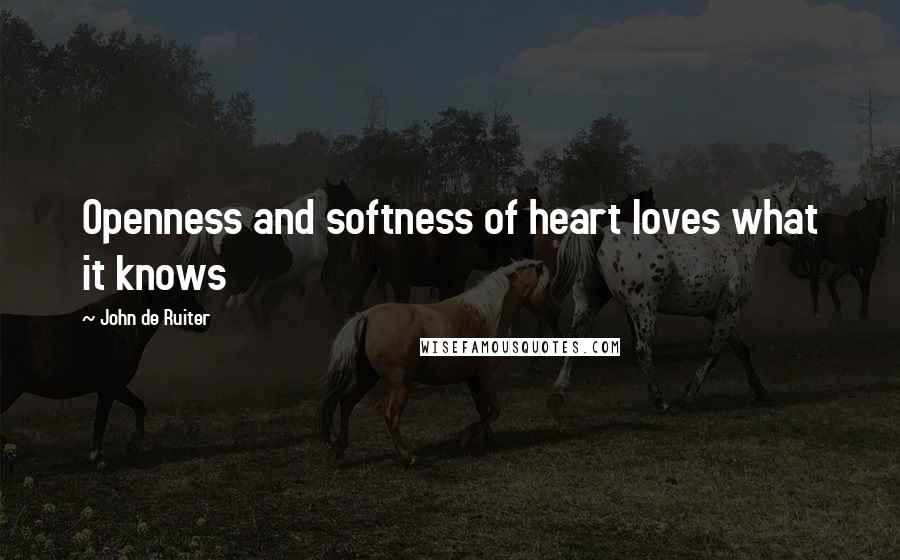 John De Ruiter quotes: Openness and softness of heart loves what it knows