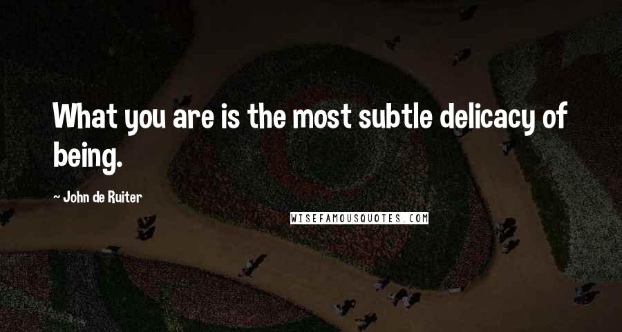 John De Ruiter quotes: What you are is the most subtle delicacy of being.