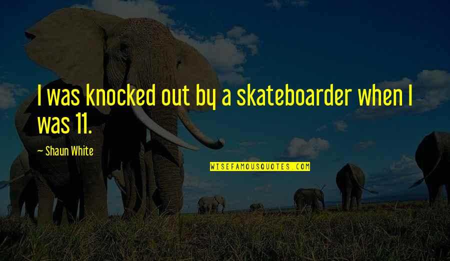 John Doar Quotes By Shaun White: I was knocked out by a skateboarder when