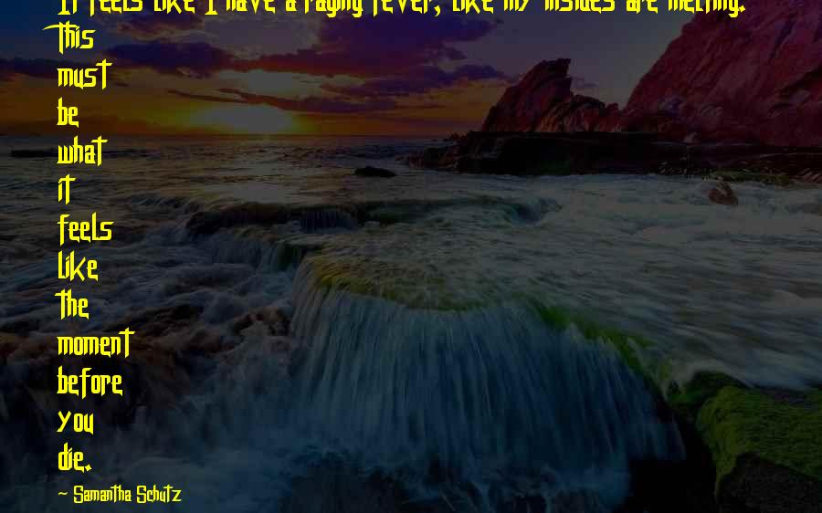 John Donahoe Ebay Quotes By Samantha Schutz: It feels like I have a raging fever, John Donahoe Ebay Quotes By Samantha Schutz: It feels like I have a raging fever,