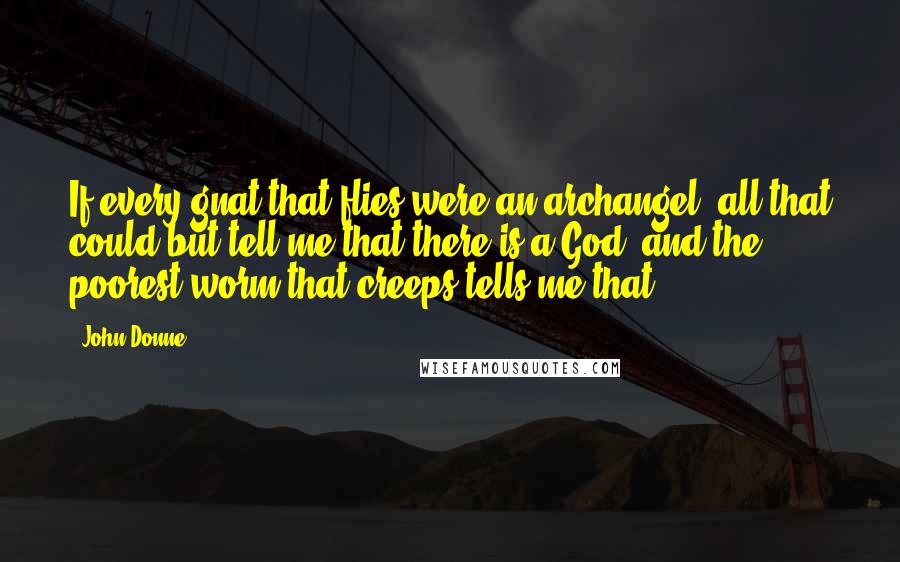 John Donne quotes: If every gnat that flies were an archangel, all that could but tell me that there is a God; and the poorest worm that creeps tells me that.