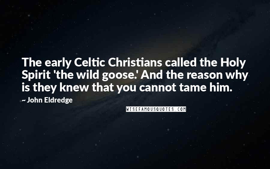 John Eldredge quotes: The early Celtic Christians called the Holy Spirit 'the wild goose.' And the reason why is they knew that you cannot tame him.