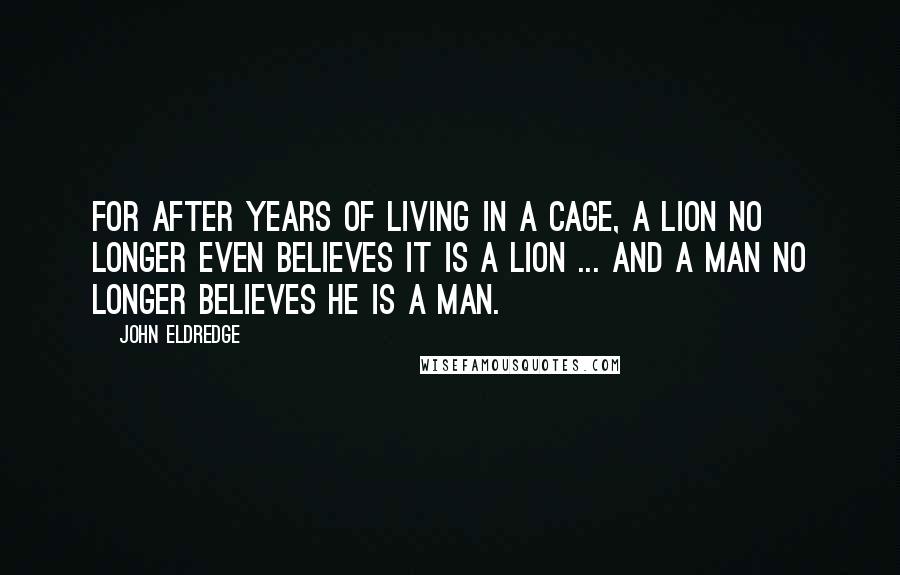 John Eldredge quotes: For after years of living in a cage, a lion no longer even believes it is a lion ... and a man no longer believes he is a man.