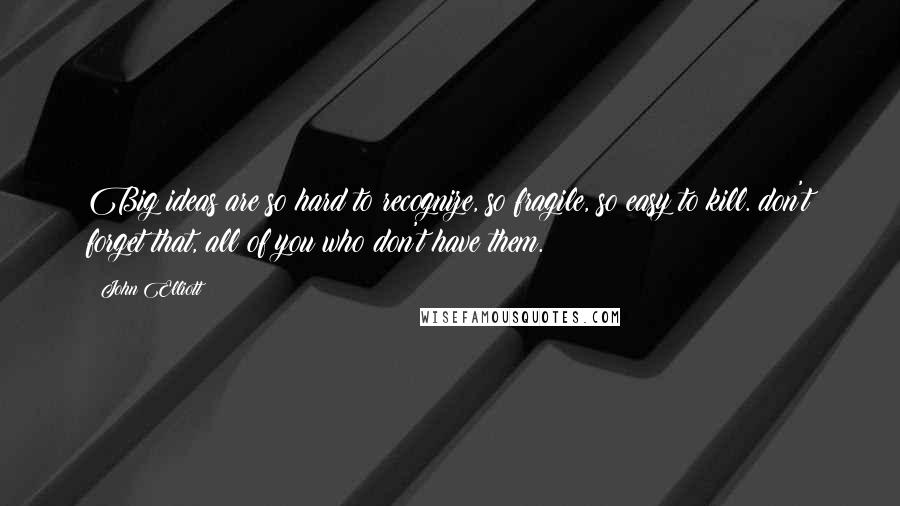 John Elliott quotes: Big ideas are so hard to recognize, so fragile, so easy to kill. don't forget that, all of you who don't have them. John Elliott quotes: Big ideas are so hard to recognize, so fragile, so easy to kill. don't forget that, all of you who don't have them.