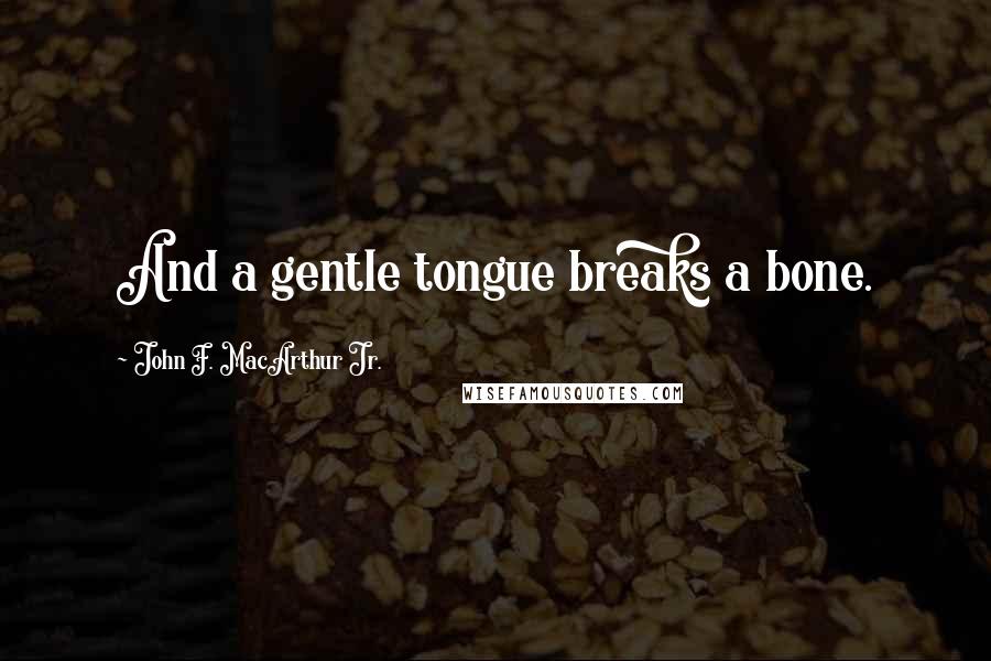 John F. MacArthur Jr. quotes: And a gentle tongue breaks a bone.