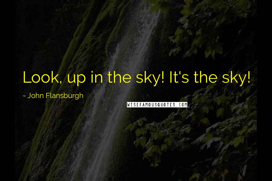 John Flansburgh quotes: Look, up in the sky! It's the sky!