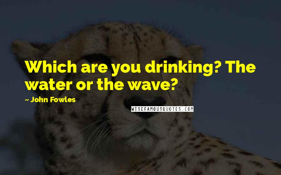 John Fowles quotes: Which are you drinking? The water or the wave?