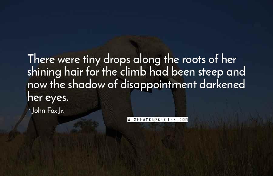 John Fox Jr. quotes: There were tiny drops along the roots of her shining hair for the climb had been steep and now the shadow of disappointment darkened her eyes.
