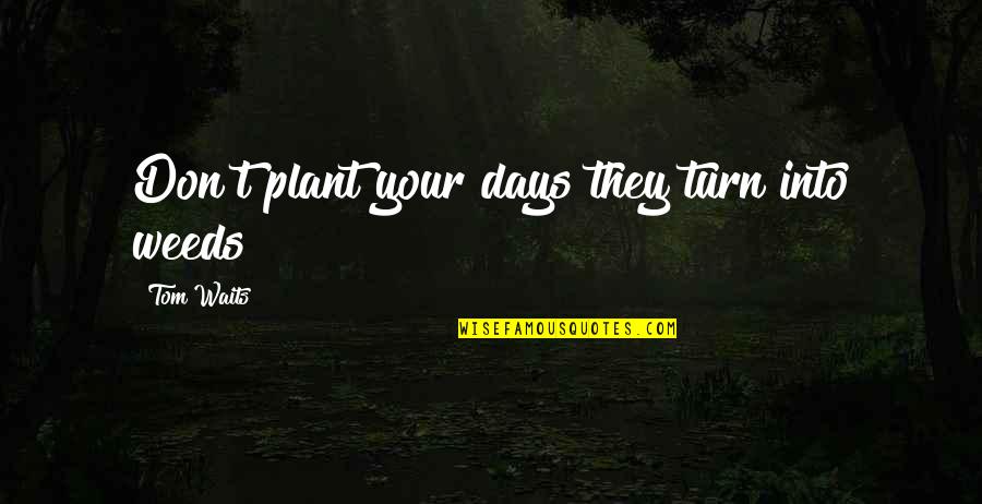 John Francis Regis Quotes By Tom Waits: Don't plant your days they turn into weeds