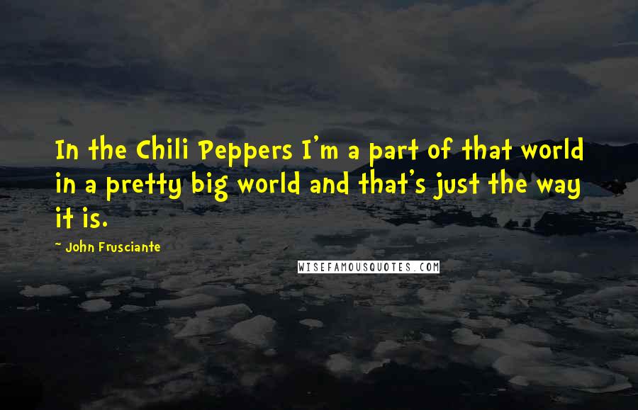 John Frusciante quotes: In the Chili Peppers I'm a part of that world in a pretty big world and that's just the way it is.