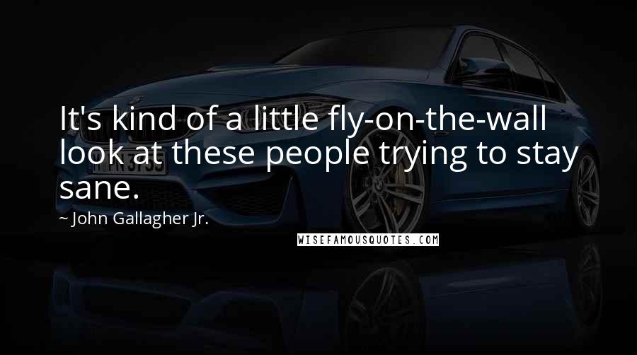 John Gallagher Jr. quotes: It's kind of a little fly-on-the-wall look at these people trying to stay sane.